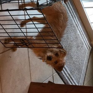 Meet your Posher, Karen